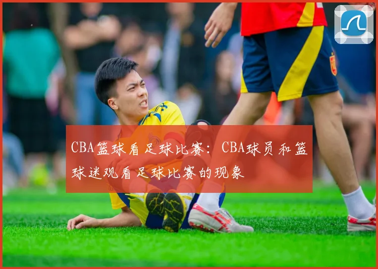 CBA篮球看足球比赛：CBA球员和篮球迷观看足球比赛的现象