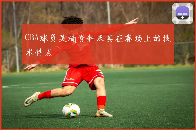 CBA球员吴楠资料及其在赛场上的技术特点