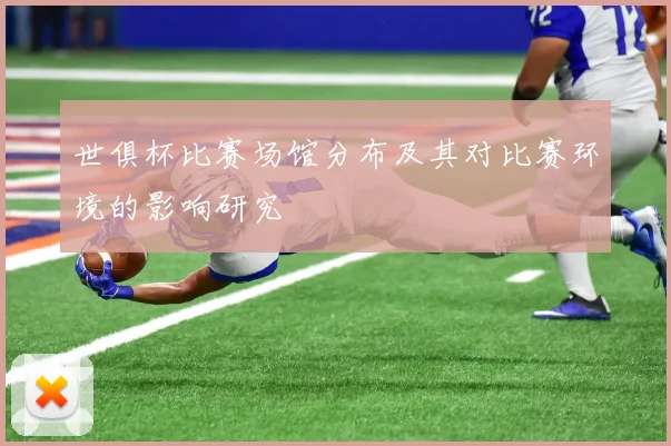 世俱杯比赛场馆分布及其对比赛环境的影响研究