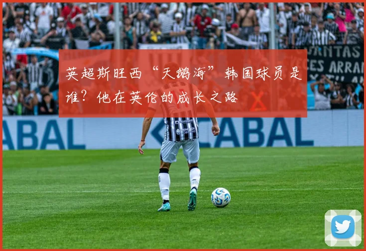 英超斯旺西“天鹅海”韩国球员是谁?他在英伦的成长之路
